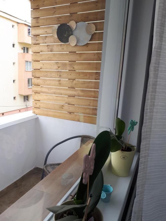 Angel Apartment Sibiu